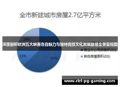 深度剖析欧洲五大联赛各自魅力与独特竞技文化发展脉络全景呈现图
